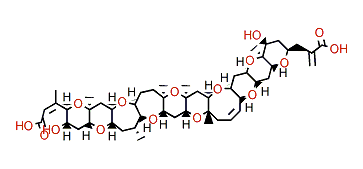 open A-ring Brevetoxin B5